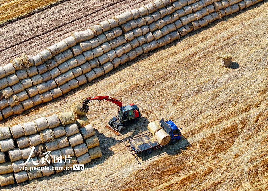 江西九江：回收秸稈 變廢為寶【3】