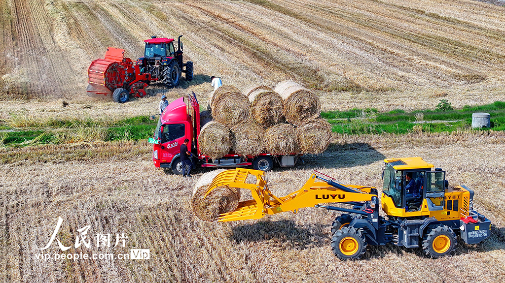 江西九江：回收秸稈 變廢為寶【5】