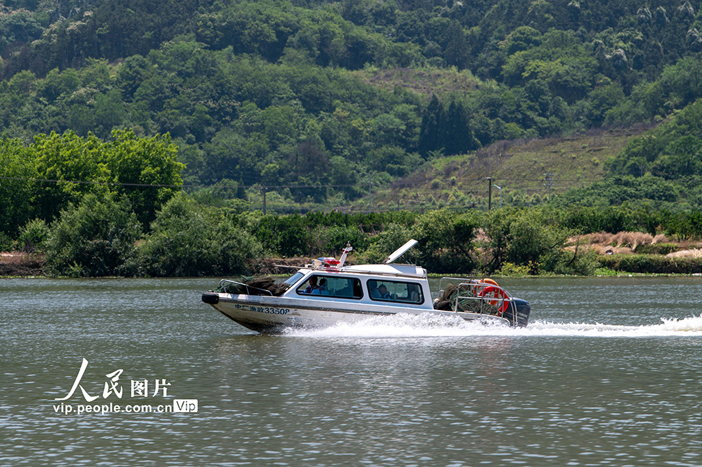 2025錢塘江流域禁漁聯合執法行動
