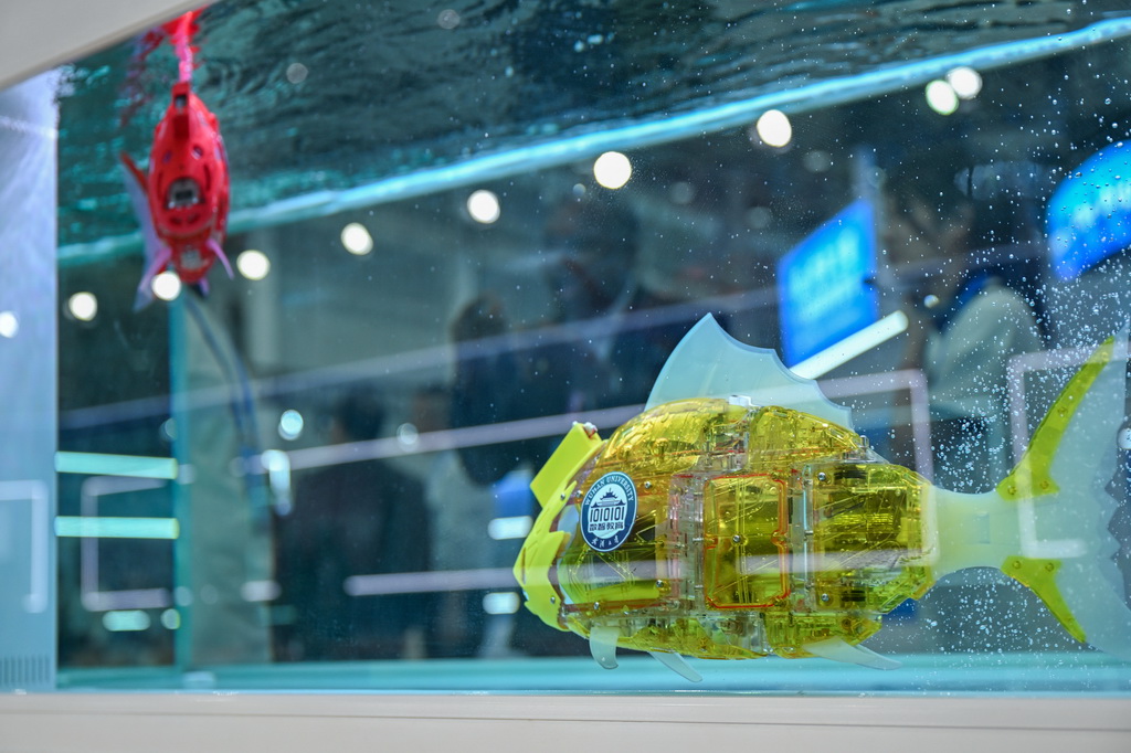 5月14日，參觀者在2025世界數字教育大會教育數字化成果展上參觀智能仿生魚。