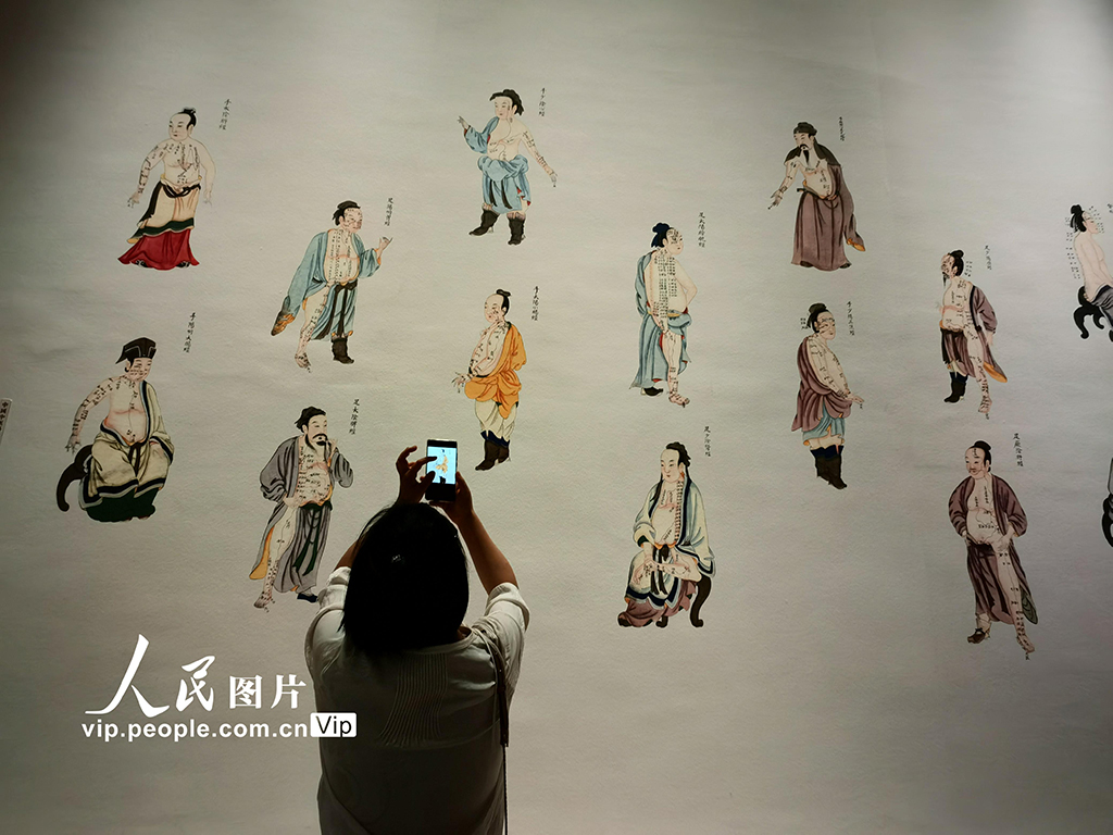 北京:“生生之道——中醫藥非遺主題展”在中國非遺館開展【2】