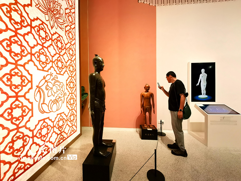 北京:“生生之道——中醫藥非遺主題展”在中國非遺館開展【3】