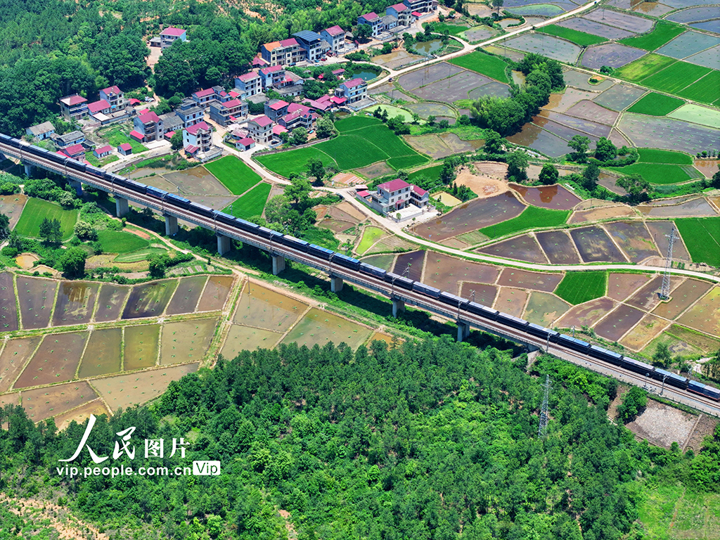 江西泰和：夏日田園如畫【6】