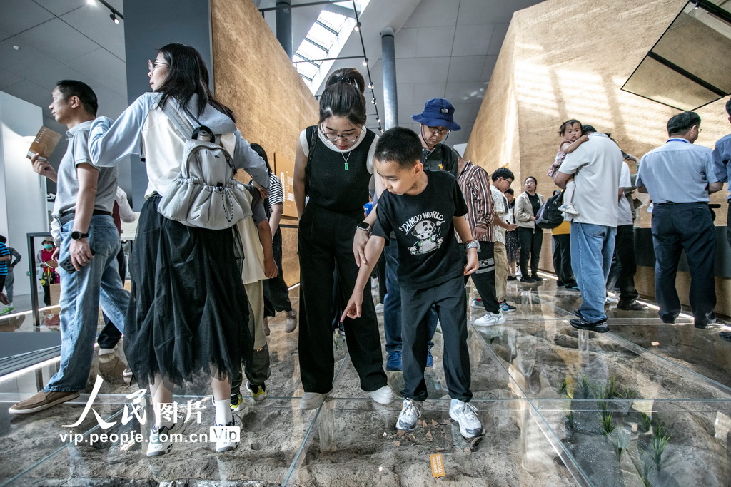 蘇州考古博物館開館【3】