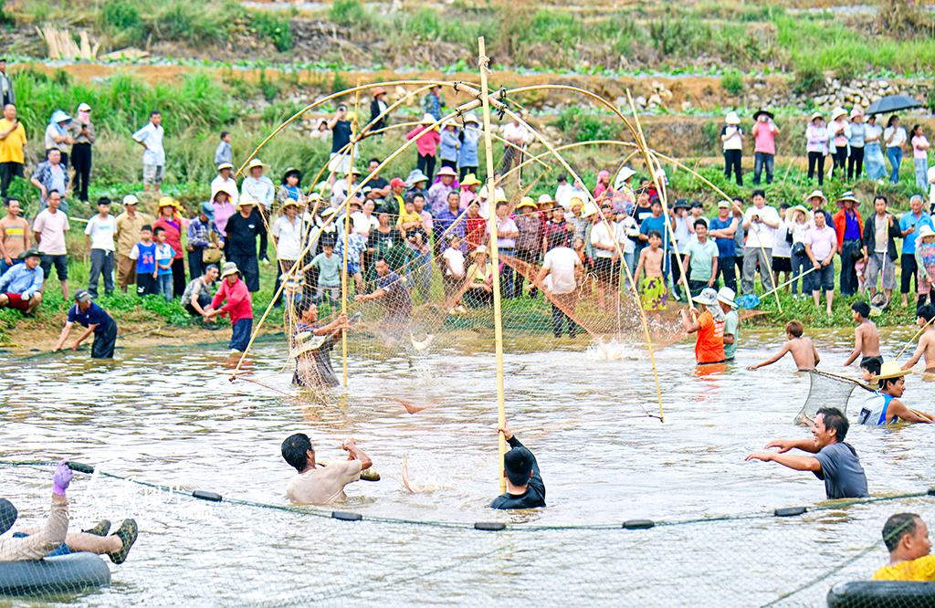云南彌勒：傳統捕魚 別具一格
