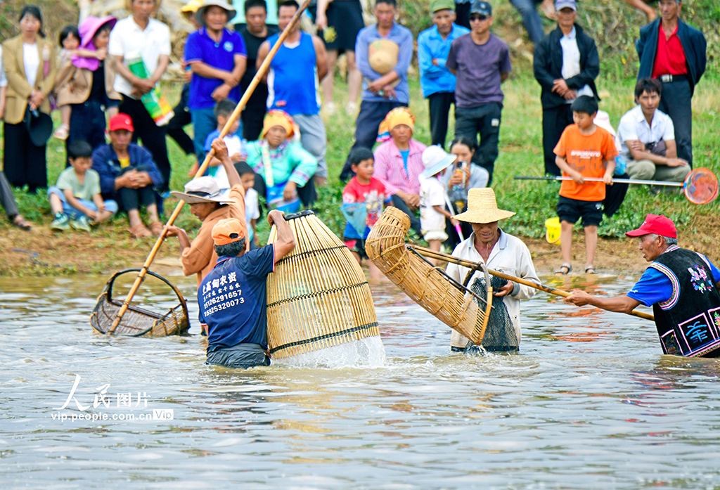 云南彌勒:傳統捕魚 別具一格【4】