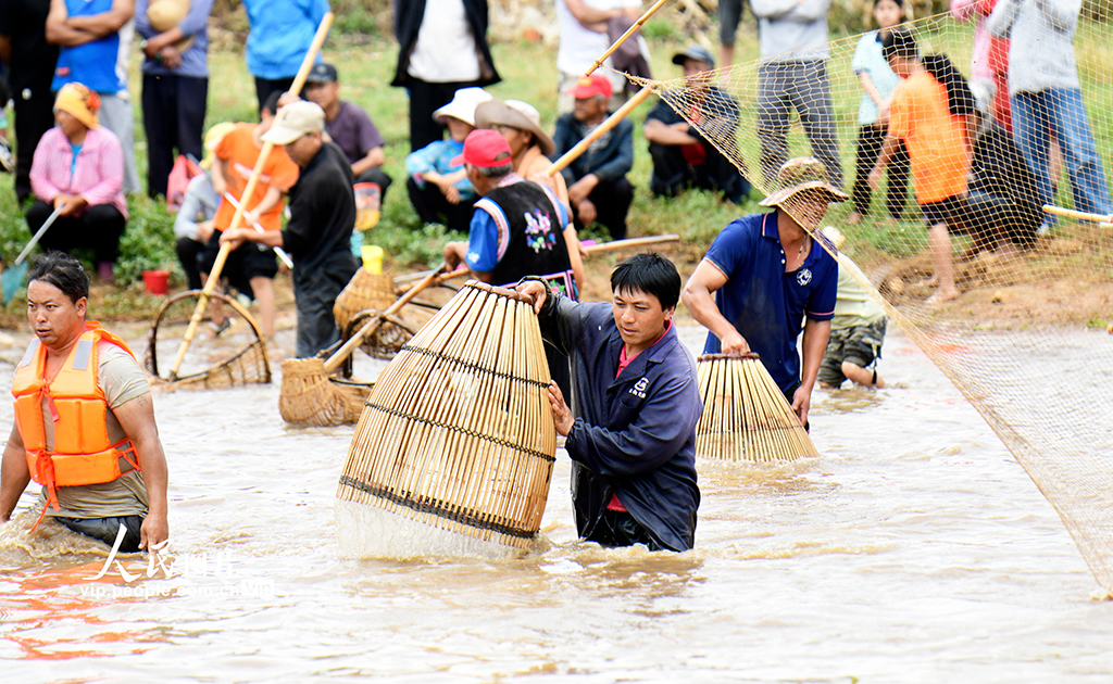 云南彌勒:傳統捕魚 別具一格【6】
