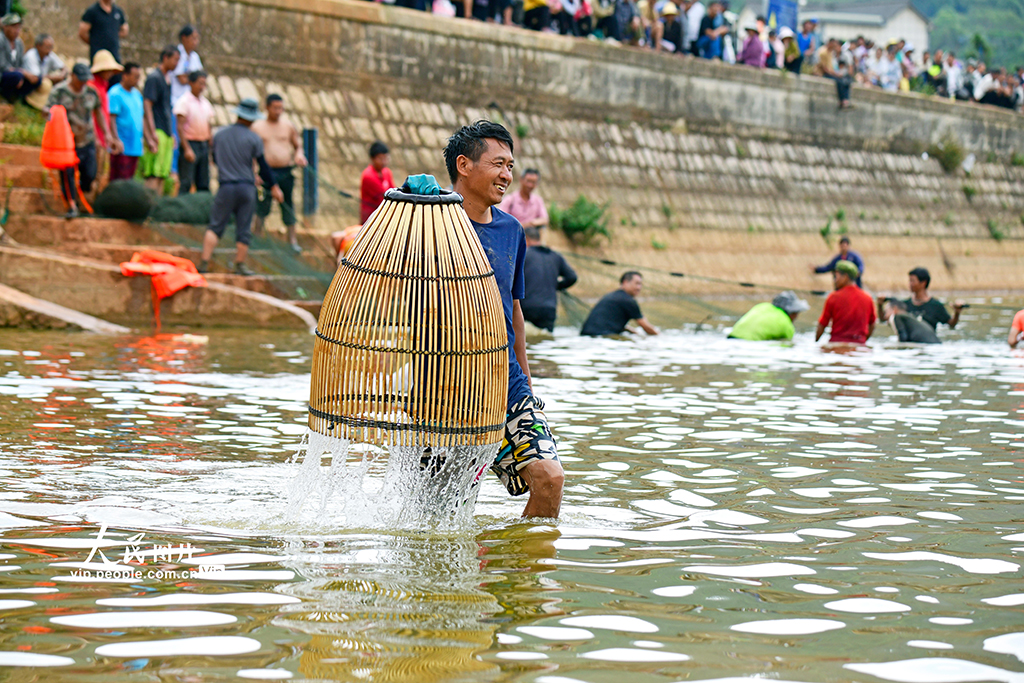 云南彌勒:傳統捕魚 別具一格【7】