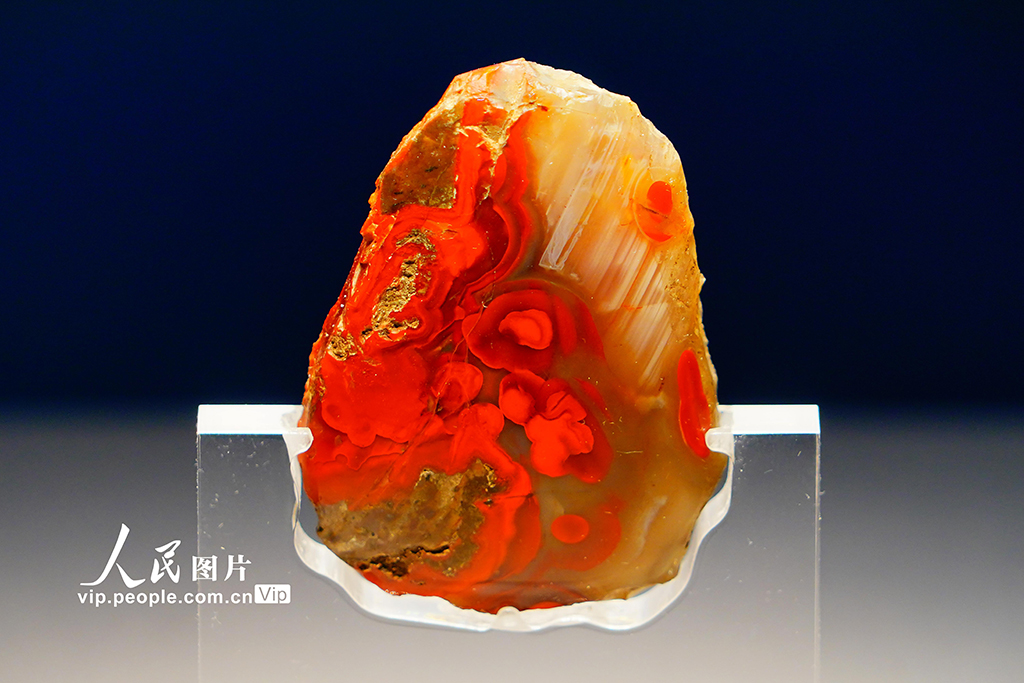 北京大葆臺遺址博物館新館對公眾開放【8】