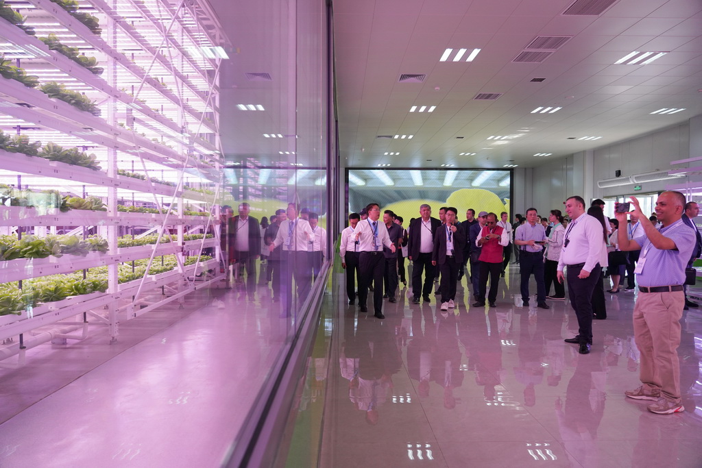 5月19日，與會人員在陜西楊凌智慧農業示范園進行實地考察。