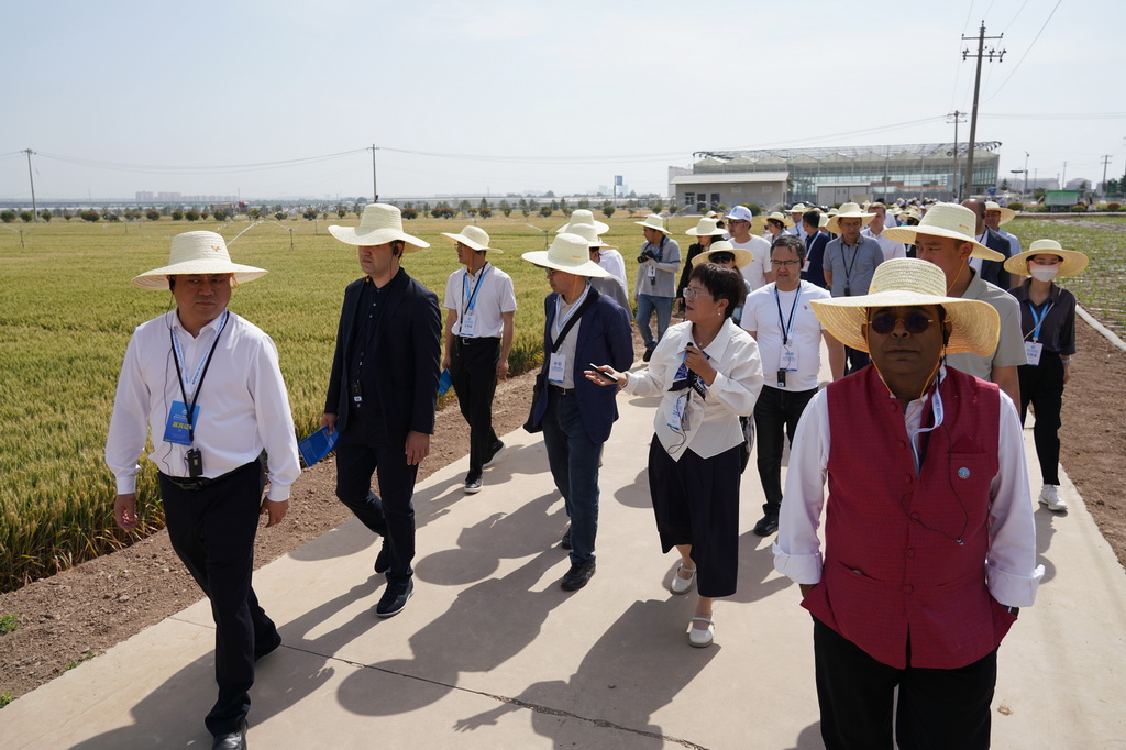 5月19日，與會人員在陜西楊凌參觀旱區農業節水技術與裝備田間展。