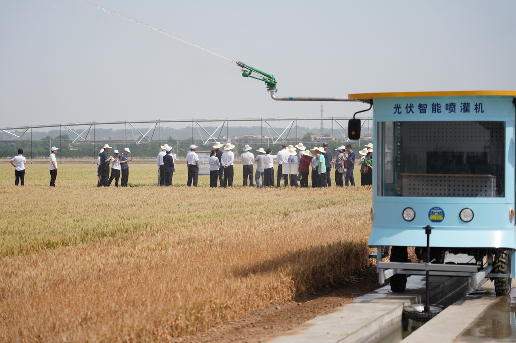 5月19日，與會人員在陜西楊凌參觀旱區農業節水技術與裝備田間展。