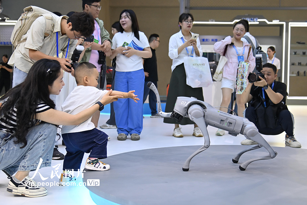 重慶:第七屆中國西部國際投資貿易洽談會開幕【5】