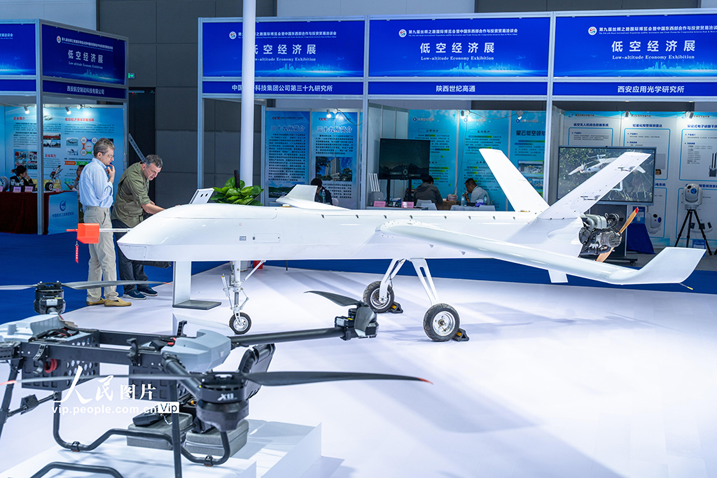 陜西西安:第九屆絲綢之路國際博覽會精彩紛呈【2】