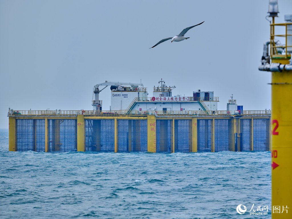 山東日照:構建三文魚全產業鏈【2】