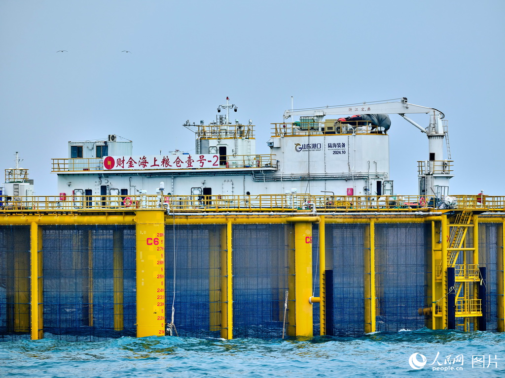 山東日照:構建三文魚全產業鏈【3】