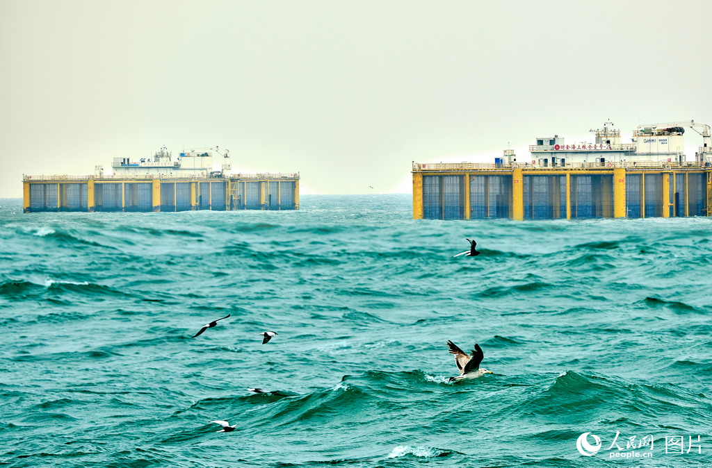 山東日照：構建三文魚全產業鏈