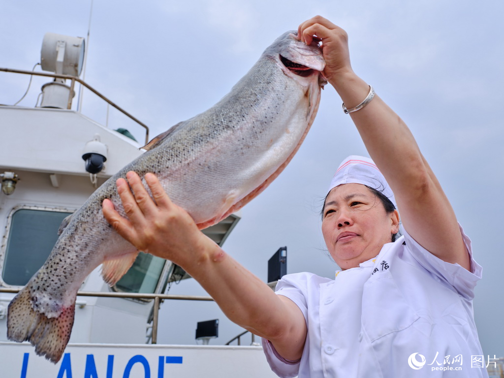 山東日照:構建三文魚全產業鏈【4】