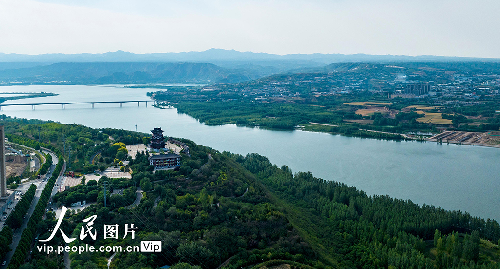 河南三門峽：黃河兩岸生態美【4】