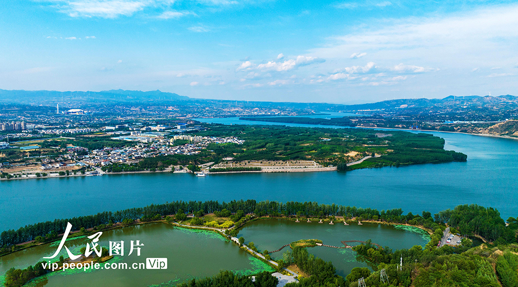 河南三門峽：黃河兩岸生態美【5】