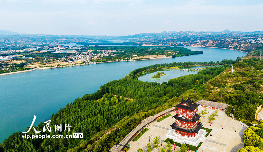 河南三門峽：黃河兩岸生態美【6】