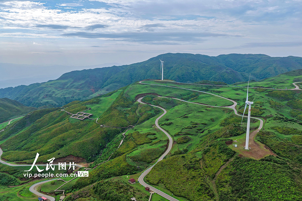 貴州六盤水:烏蒙大草原綠意盎然【2】