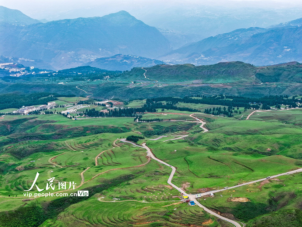 貴州六盤水:烏蒙大草原綠意盎然【4】