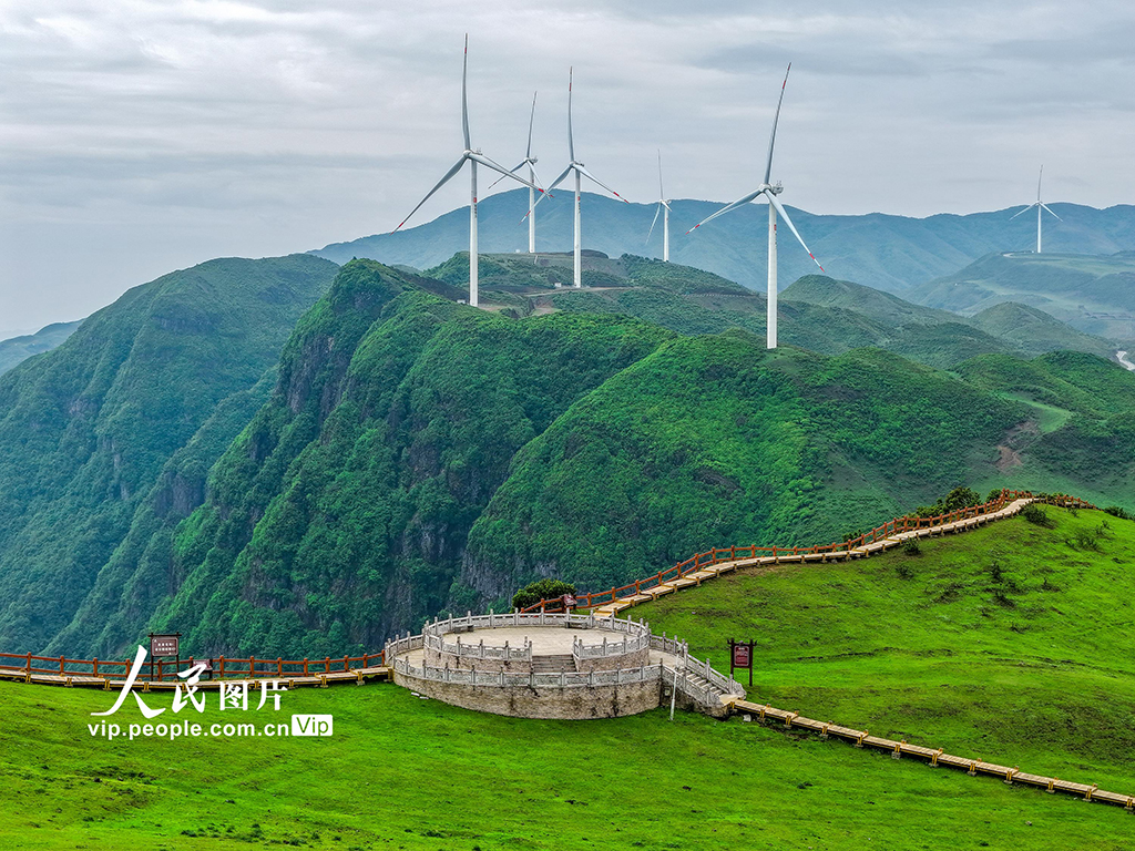 貴州六盤水:烏蒙大草原綠意盎然【5】