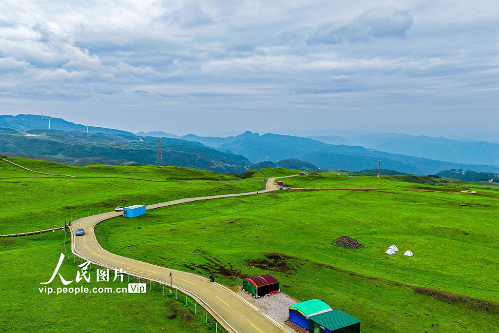 貴州六盤水:烏蒙大草原綠意盎然【6】