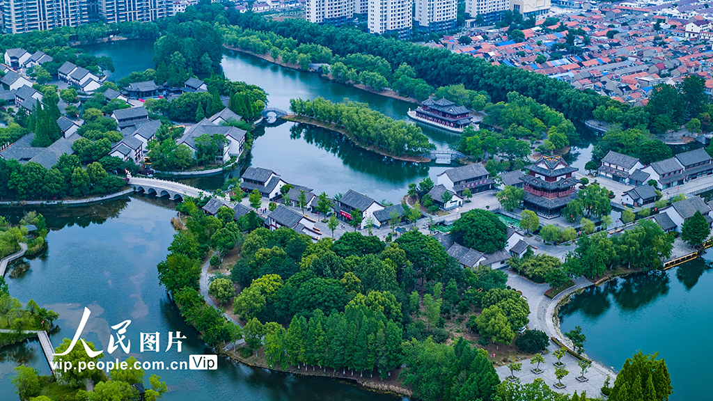 江蘇淮安:洪澤湖初夏景色美【2】