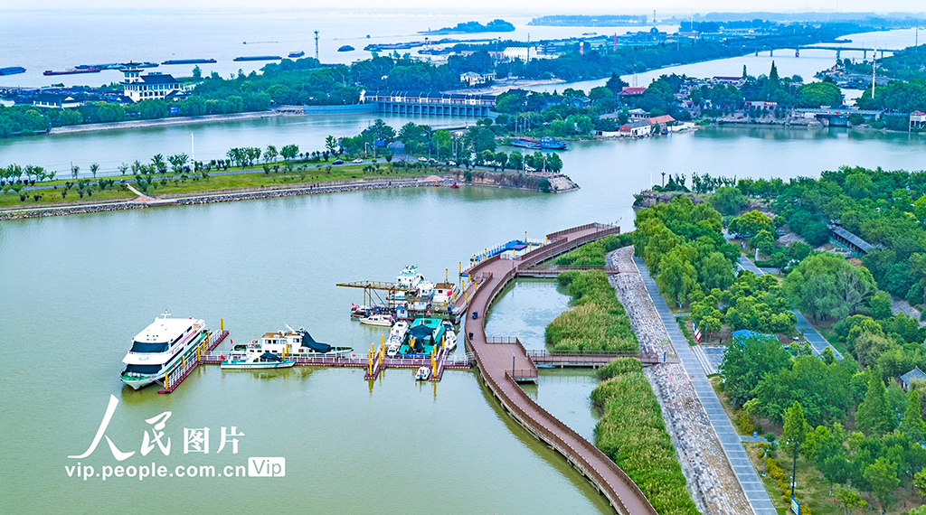 江蘇淮安：洪澤湖初夏景色美【4】