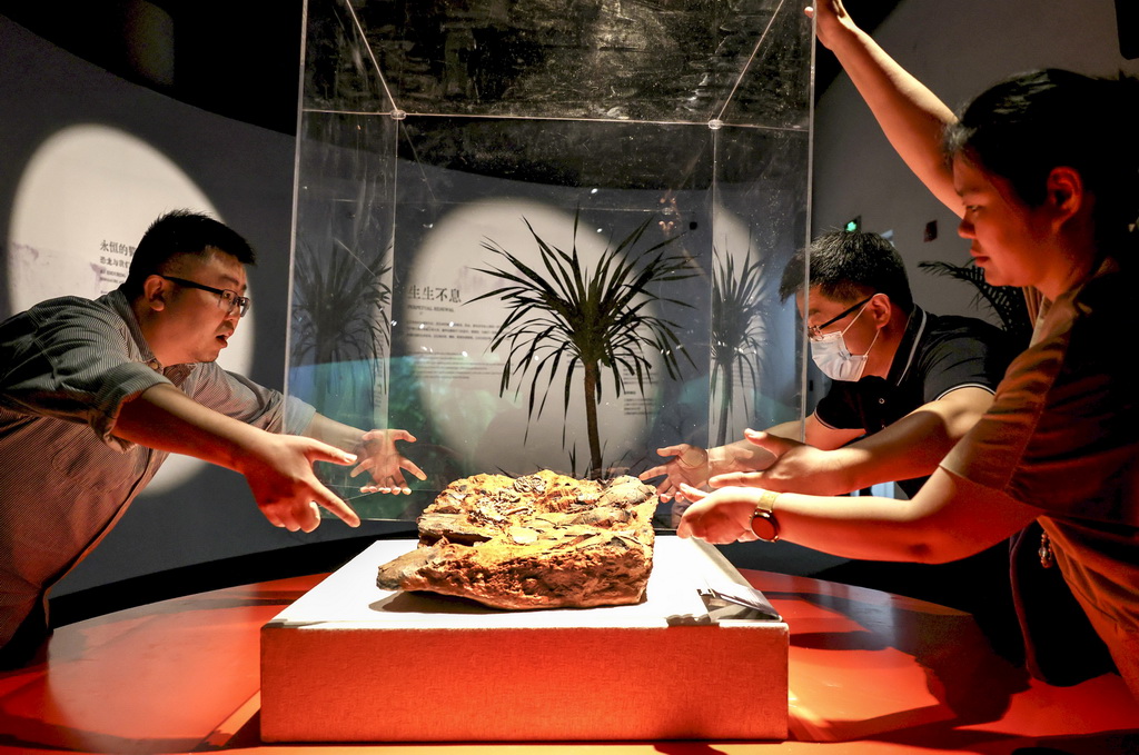 5月26日，工作人員進行布展準備工作。