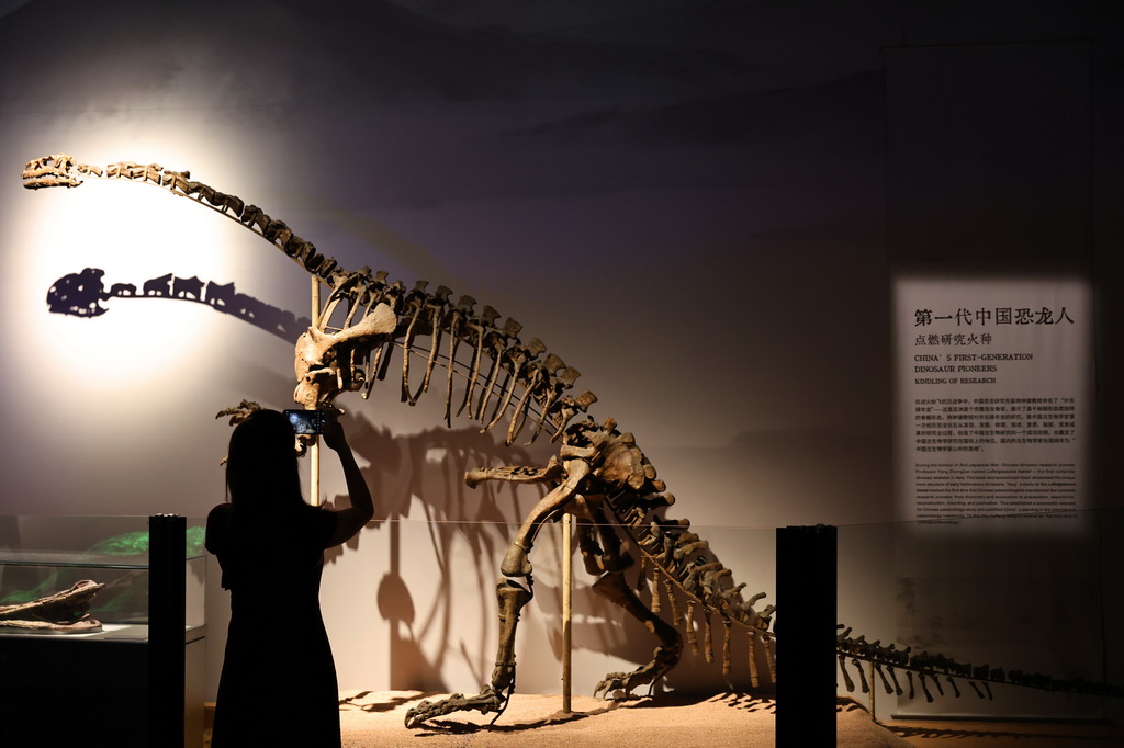 5月26日，參觀者在許氏祿豐龍化石展品前駐足觀看。