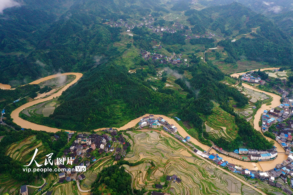 廣西融水：夏日梯田美如畫【6】