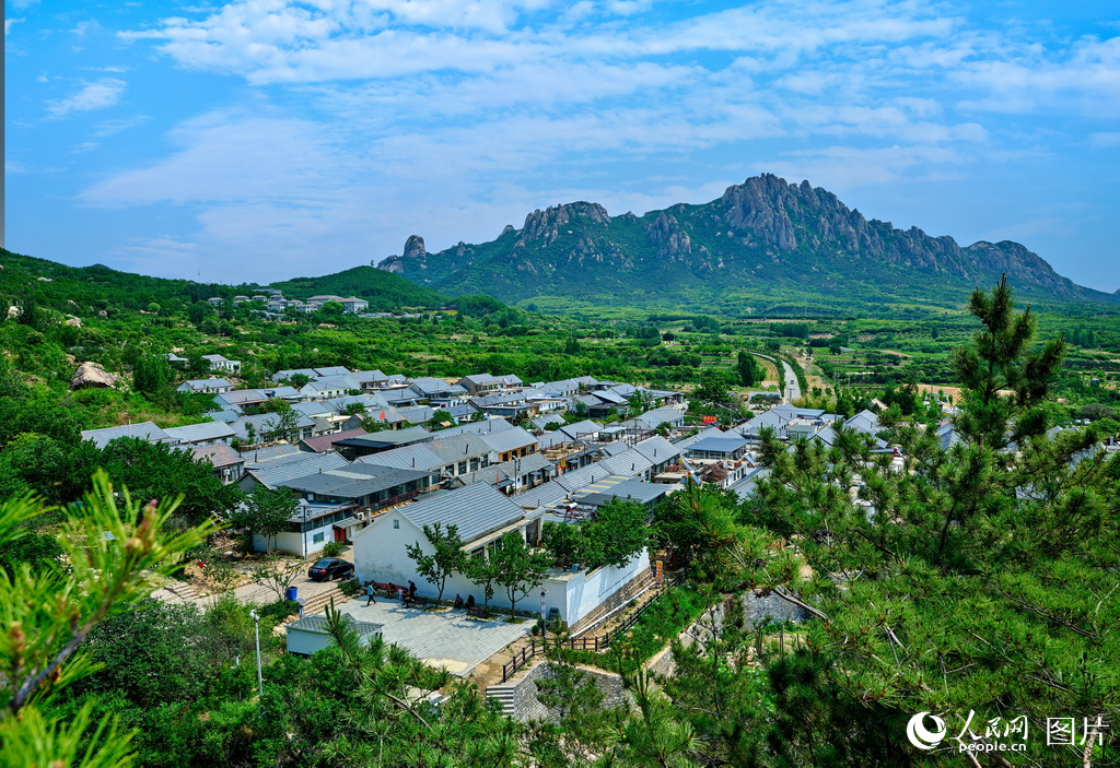 山東五蓮：駐村幫扶助力鄉村振興