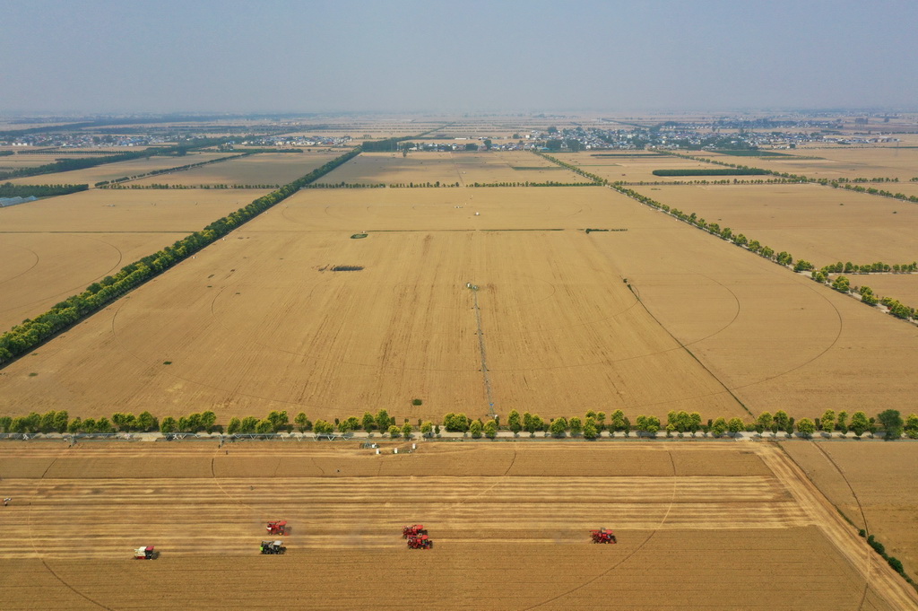 這是5月28日在河南省周口市商水縣張莊鎮張坡村拍攝的活動現場（無人機照片）。