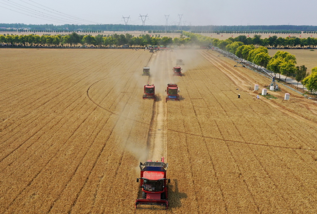 這是5月28日在河南省周口市商水縣張莊鎮張坡村拍攝的活動現場（無人機照片）。