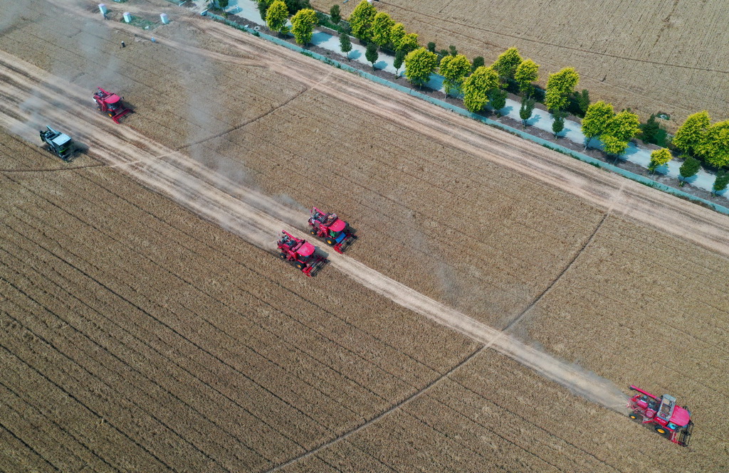 這是5月28日在河南省周口市商水縣張莊鎮張坡村拍攝的活動現場（無人機照片）。
