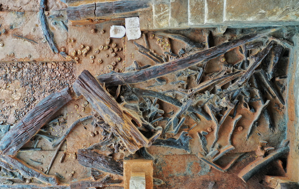 這是四川資陽濛溪河遺址群內的烏木（2023年12月5日攝，無人機照片）。新華社記者 劉坤 攝