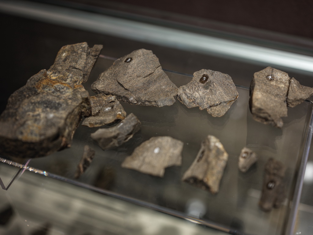 這是從四川資陽濛溪河遺址群發掘出土的石器（2025年4月8日攝）。新華社記者 薛晨 攝