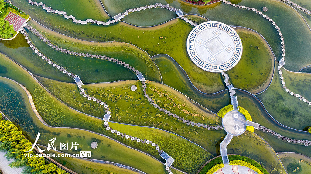 云南彌勒:五彩云池夏景美【3】