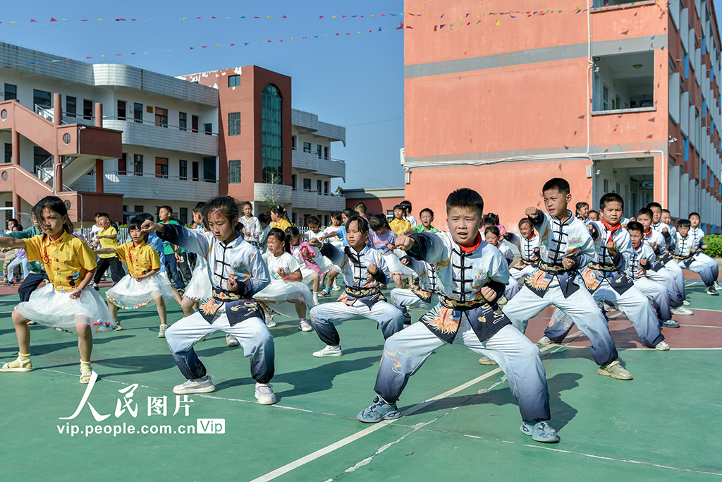 安徽銅陵:武術進校園 非遺共傳承【3】