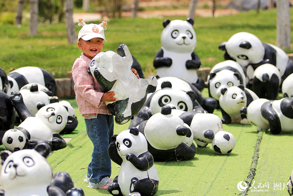 2025年5月29日，甘肅省蘭州野生動物園，萌娃搬運胖達，童趣滿滿。人民網記者 米媛攝