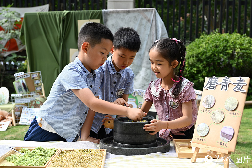 2025年5月30日，在河南省鄭州市二七區第一幼兒園連云路園區，小朋友們在體驗磨青麥，感悟農耕文明。人民網記者 王玉興攝