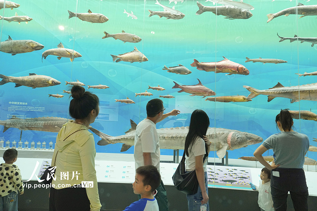 重慶北碚：博物館里度假期【2】