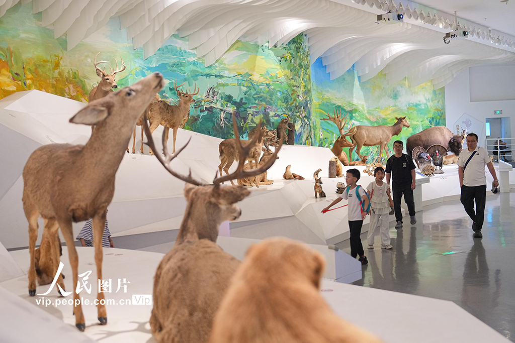 重慶北碚：博物館里度假期【3】