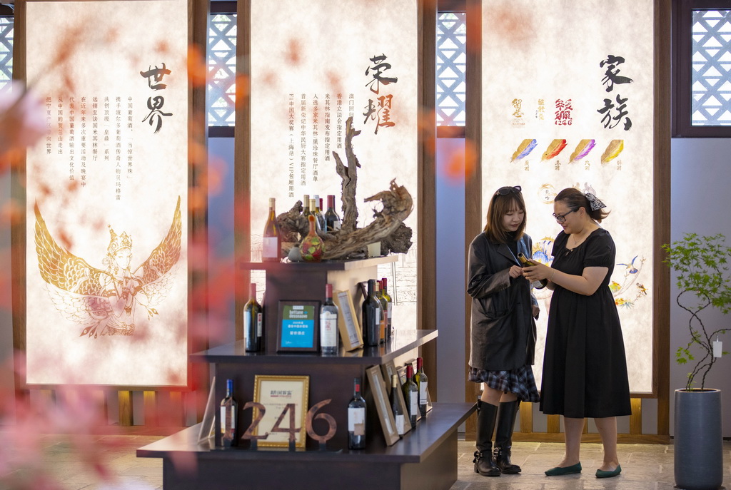 游客（左）在位于銀川市的留世酒莊品鑒中心內參觀（2025年6月1日攝）。新華社記者 楊植森 攝
