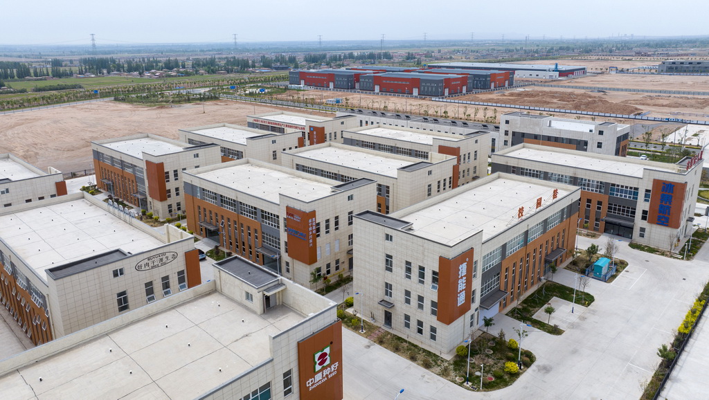 位于寧夏銀川市永寧縣的閩寧產業園（2025年6月1日攝，無人機照片）。新華社記者 楊植森 攝