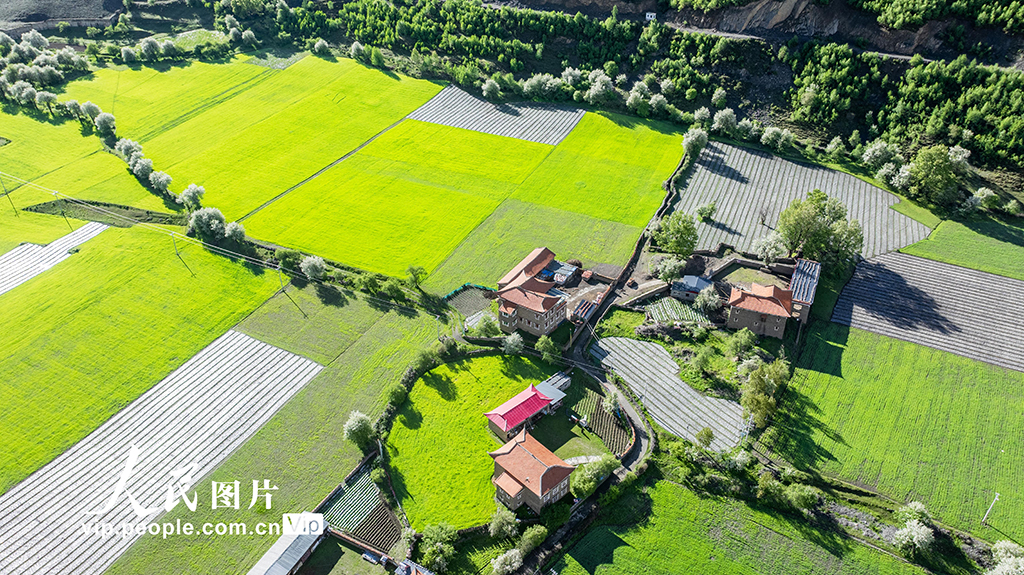 四川康定:昌木村景美如畫【2】