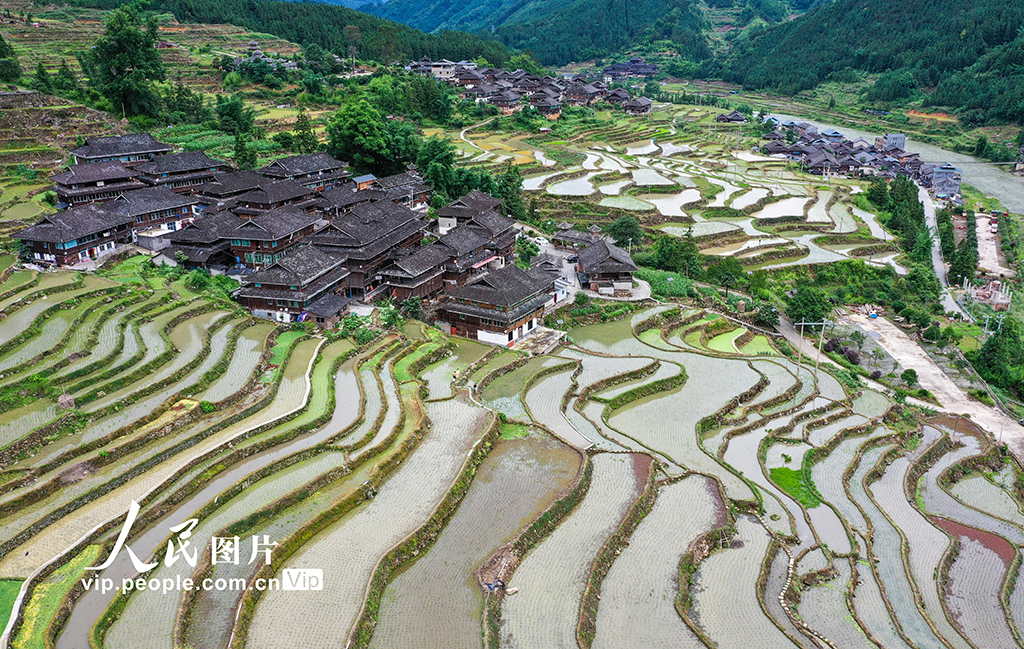 貴州從江：夏日鄉村田園美【2】